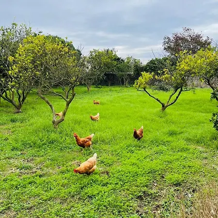 Quinta Esmeralda - Private Estate Mosteiro (Vila do Conde)